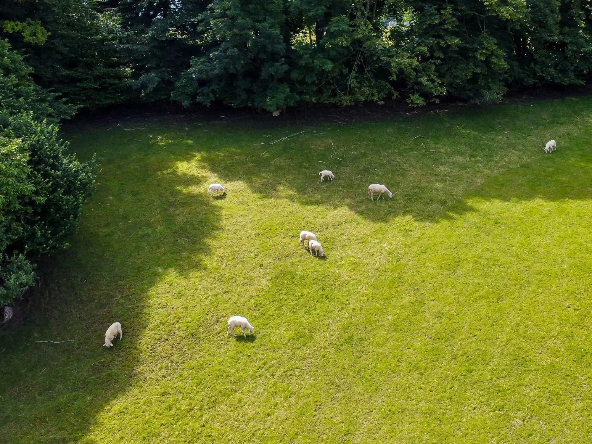 Naturresort Fischergut - Wolfgangthal Farm stay